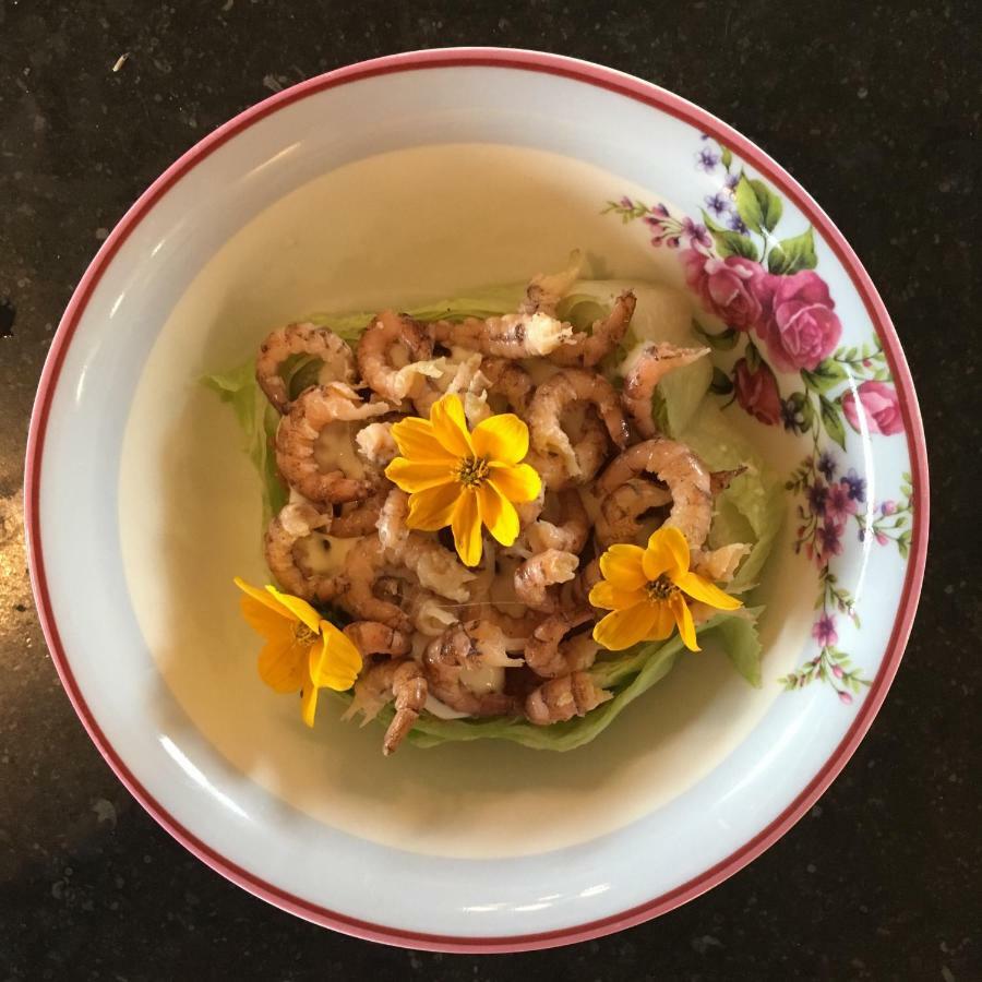 دي هان B&B Hoeve Welgelegen المظهر الخارجي الصورة